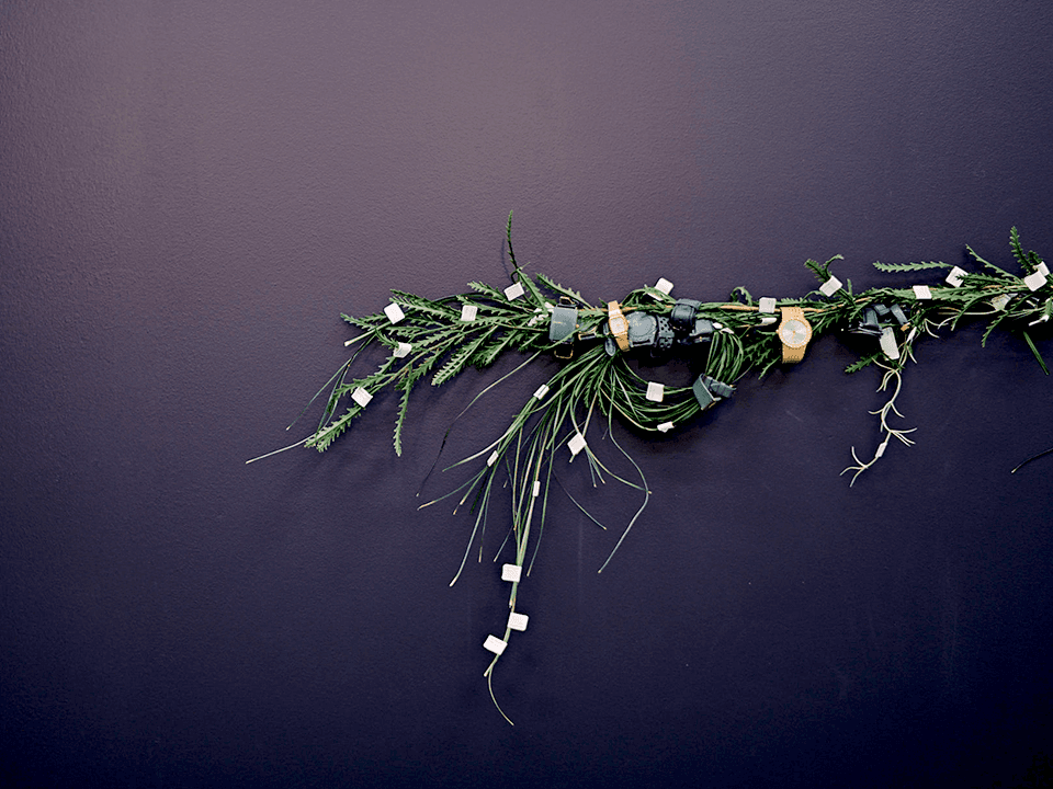 新たな雇用を創出する独自のビジネス展開